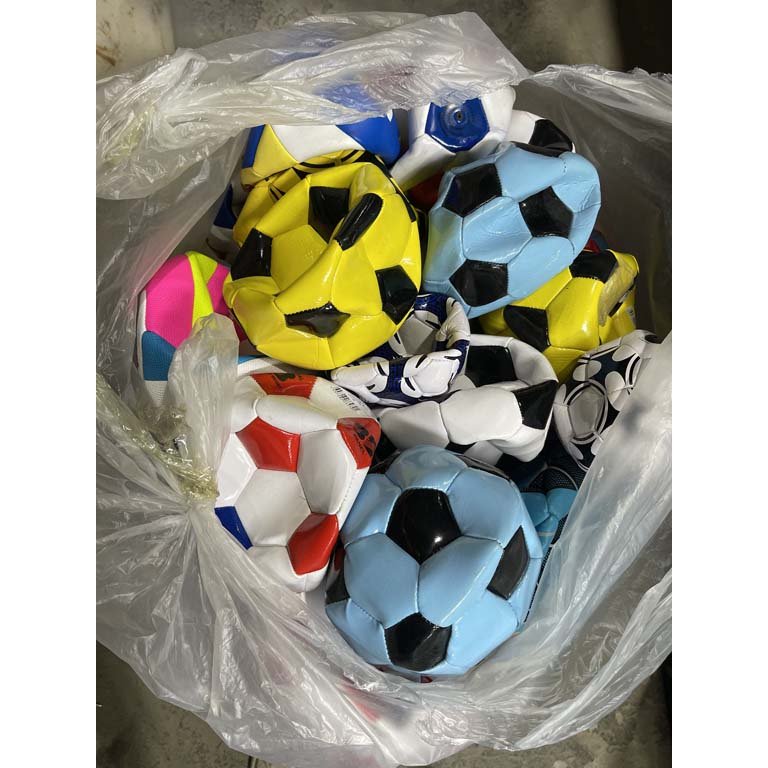 Lote de Pelotas Deportivas Variadas