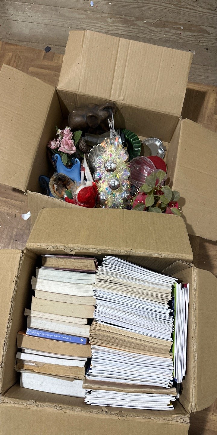 Lote de Adornos Navideños y Libros Varios