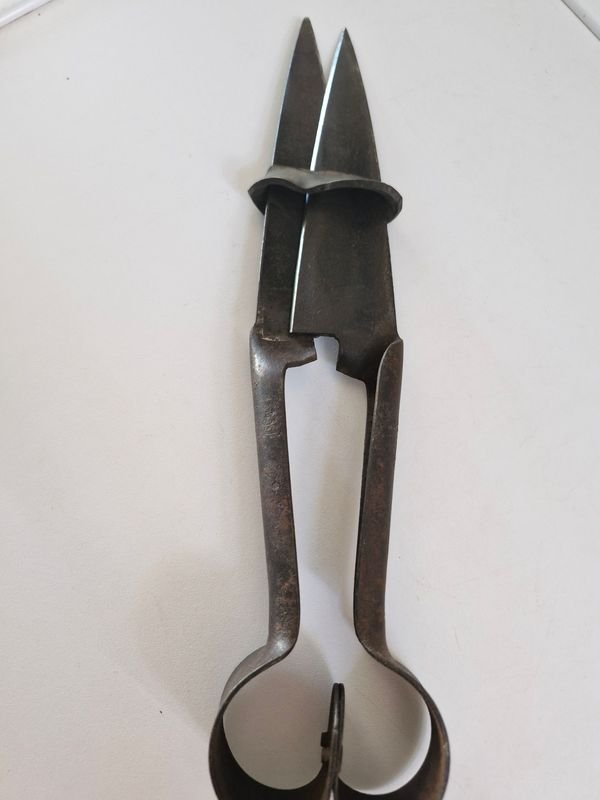 Item 877906 - Image 0