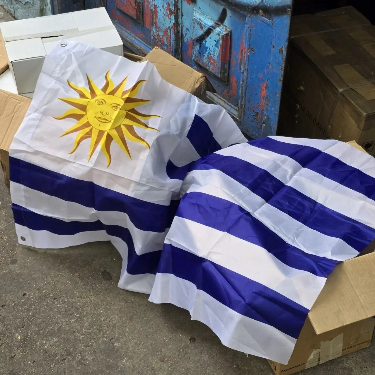 Banderas de Uruguay en paquetes - imagen 1