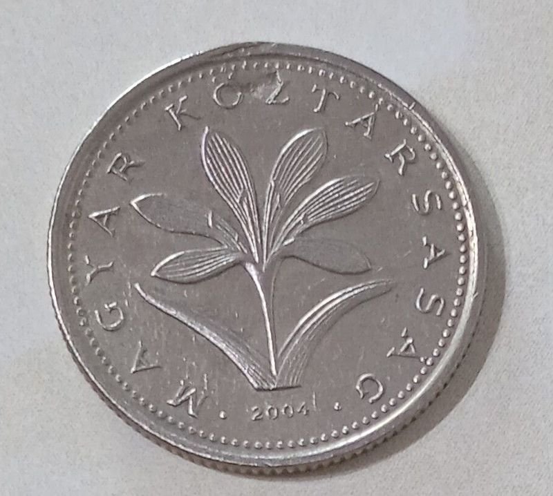 Item 854561 - Image 0