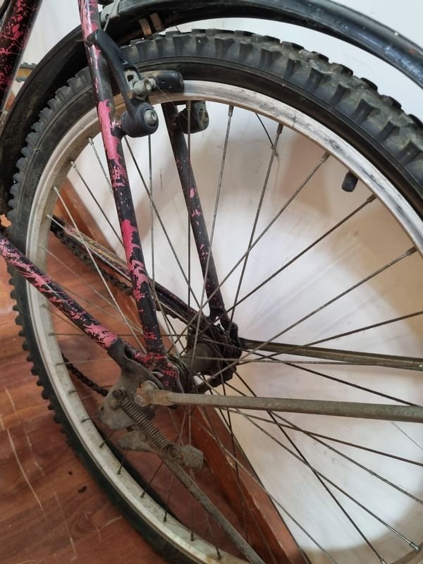Bicicleta De Dama Con Canasto Rodado 26 - imagen 2