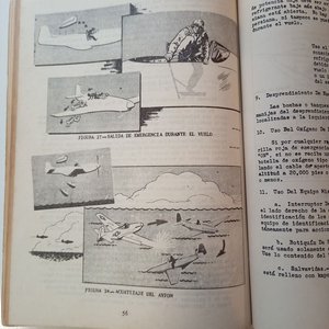 Manual de Pilotaje F-51D Mustang FAU 1945 con Chapa y Foto - imagen 9