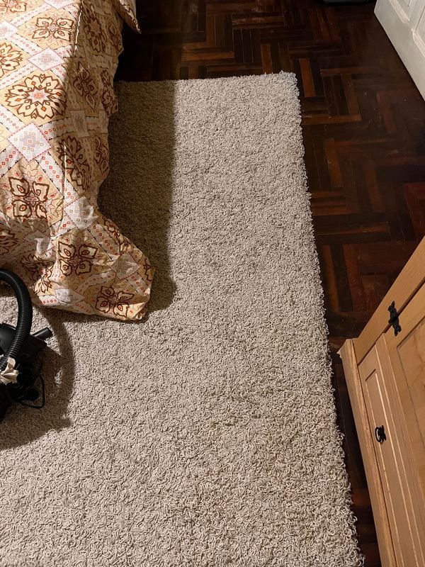 Lote siguiente: Alfombra Peluda de Textura Plush