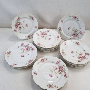Juego de 21 Platos Llanos de Porcelana Austriaca MZ Austria con Flores Rosas - imagen 3