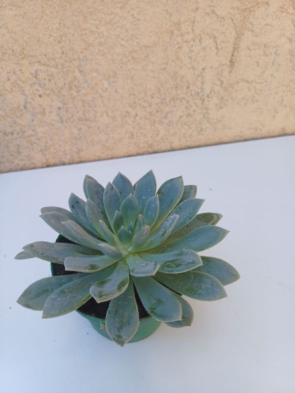 Item 875540 - Image 7