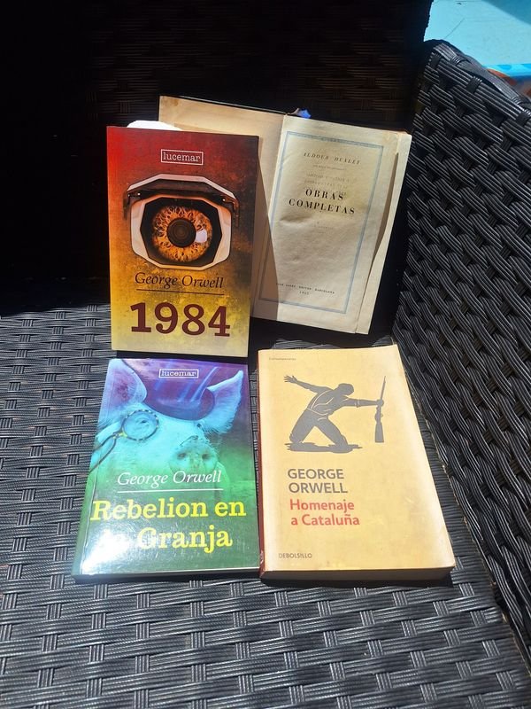 Item 873743 - Image 0