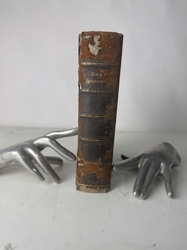 Lote anterior: Libro antiguo alemán del siglo XIX