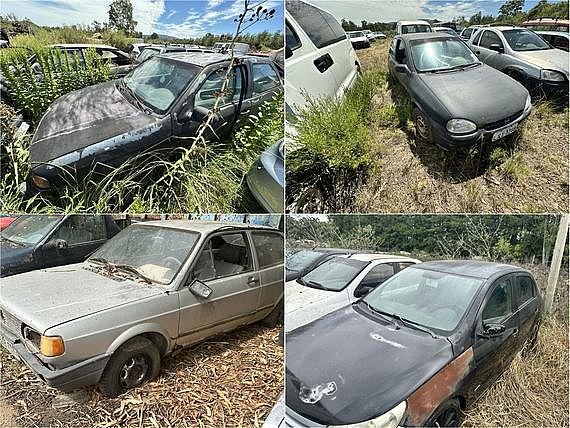 Item 31691 - Image 0