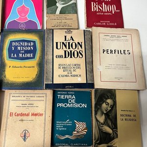 Lote de 18 Libros de Religión Católica y Teología - imagen 5