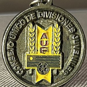 Lote anterior: Medalla Campeón Fútbol 7ma División Defensor Sporting AUF 1990