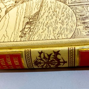 Lote de Libros Antiguos y Decorativos - imagen 4