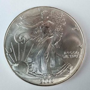 Lote anterior: Moneda de Plata "Liberty" 1 Oz, Estados Unidos, 1 Dólar 2004
