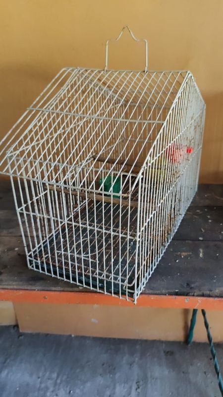 Jaulas para pájaros - Lote de 2 - imagen 3