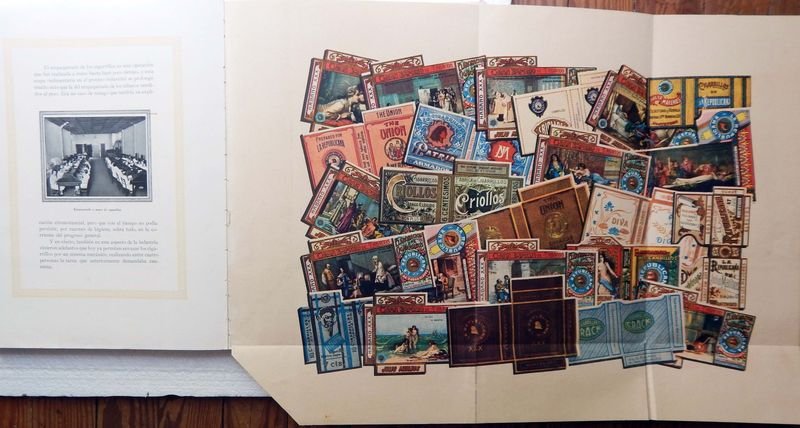 Item 853896 - Image 9