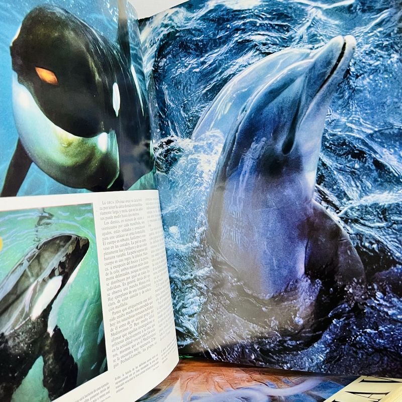 Colección de enciclopedias sobre animales y La Vida - imagen 2