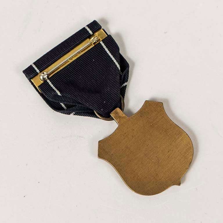 Condecoración de bronce con cinta de la Guardia Costera de los Estados Unidos - imagen 2