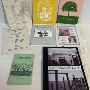 Lote anterior: Lote de Publicaciones Literarias de Colonia: Talleres Literarios, Poemas y Concursos