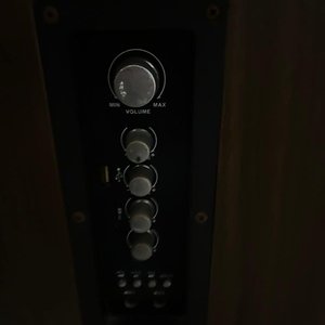 Parlante Vertical Supersonic de Madera - imagen 2