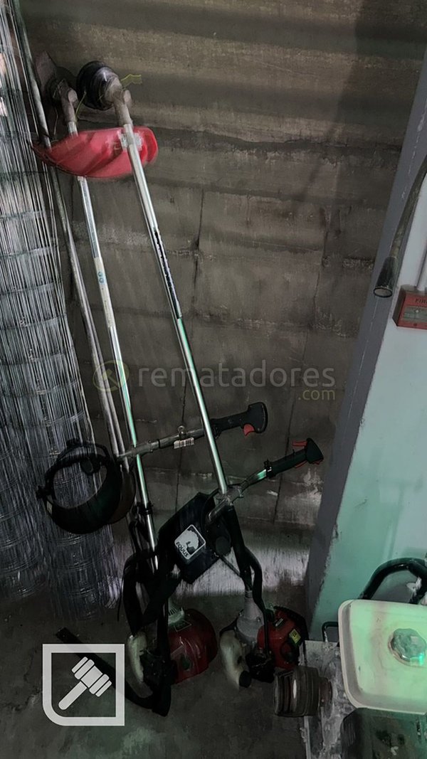 Desmalezadora y Cortadora de Césped Profesional