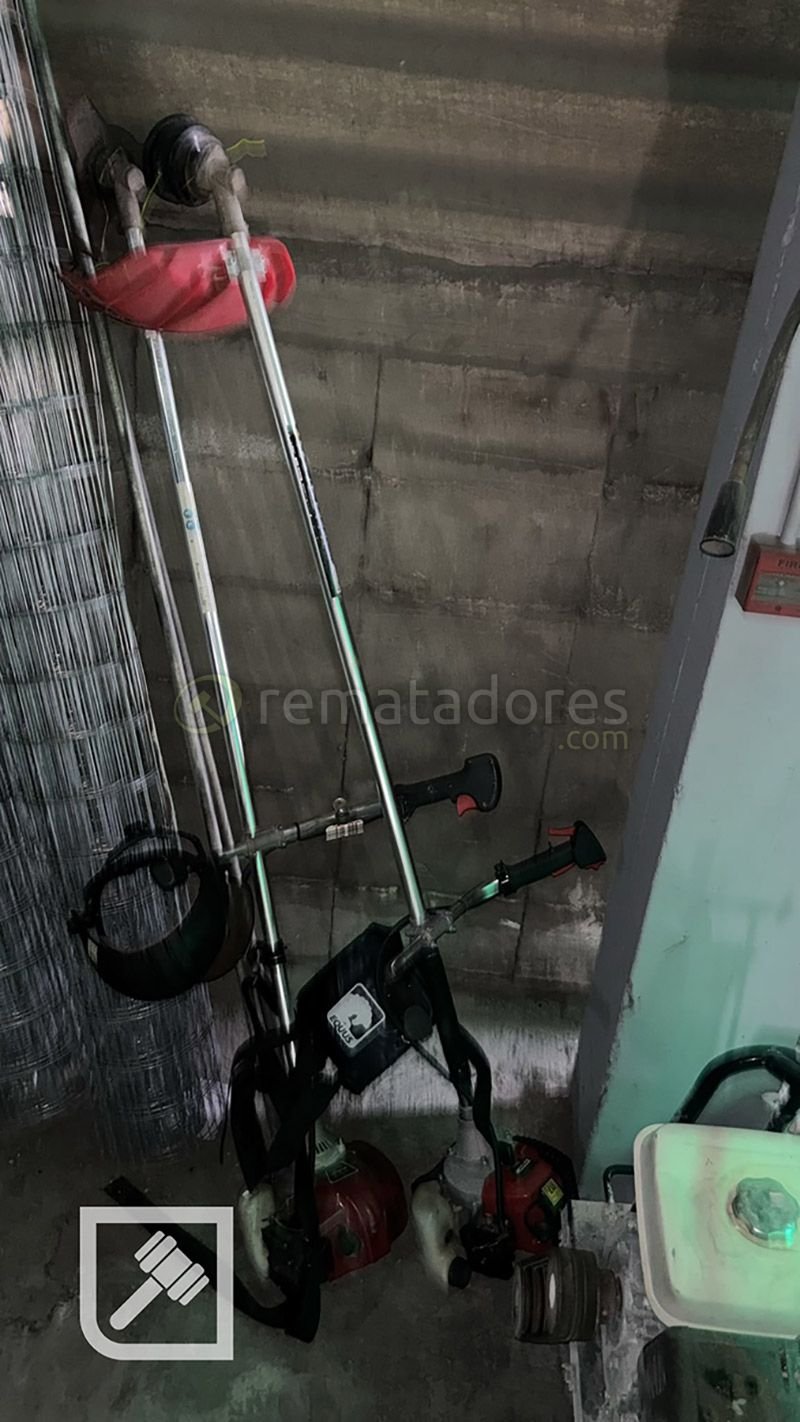 Desmalezadora y Cortadora de Césped Profesional