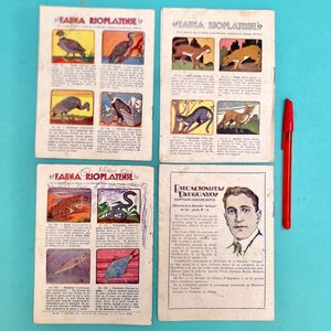 Lote de 4 Revistas "Colibrí" de 1927, 1930 y 1931 - imagen 2