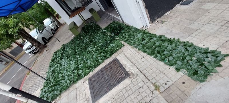 Malla de PVC simil enredadera con hojas nuevas - imagen 4