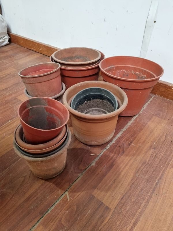 Item 865915 - Image 3