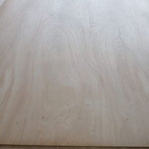 Lote anterior: 10 Planchas de Contrachapado de Cedro