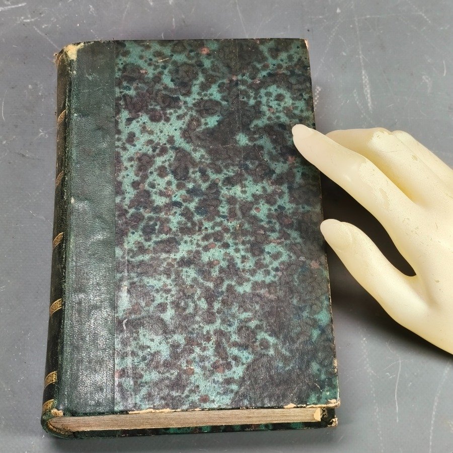 Item 18631 - Image 3