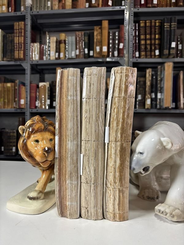 Item 879307 - Image 2