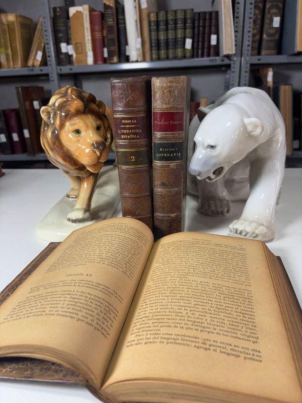 Libros antiguos de Literatura e Historia - imagen 5