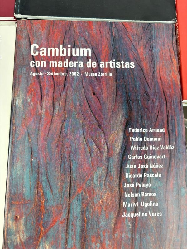 Colección de libros y catálogos de arte contemporáneo uruguayo - imagen 2