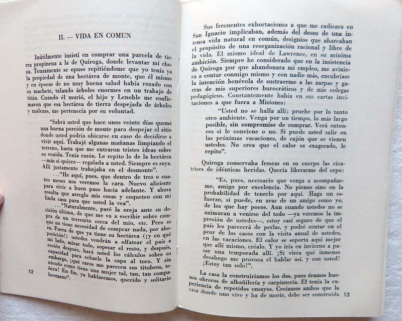 Libro de ensayo sobre la correspondencia entre Horacio Quiroga y Martínez Estrada - imagen 4