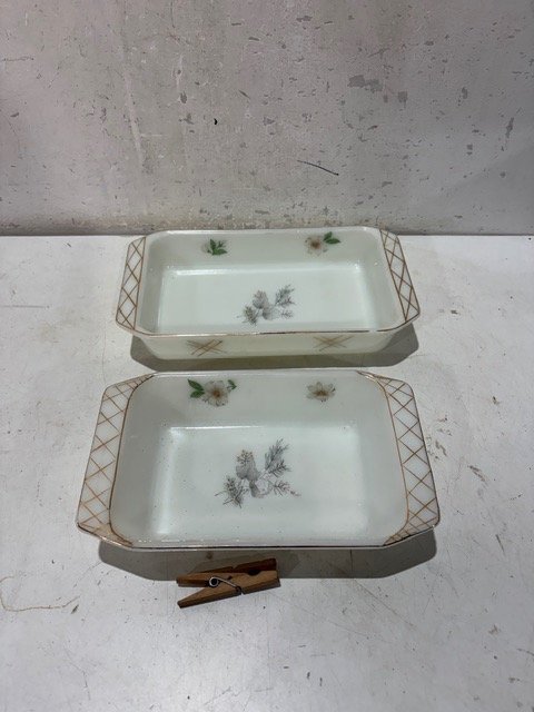 Juego de 2 Fuentes Rectangulares de Opalina con Diseño Floral