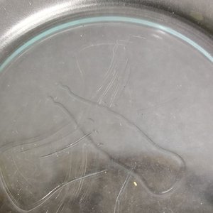 Lote de 5 Platos Transparentes con Logo de Coca-Cola - imagen 2