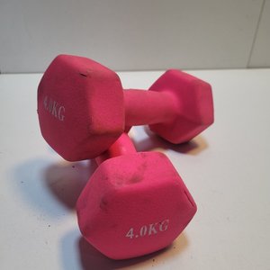 Lote anterior: Par de Mancuernas Rosadas de 4kg