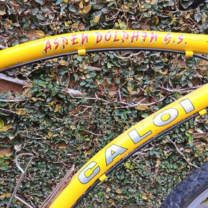 Bicicleta de Montaña Caloi Aspen Dolphin G.S. Rodado 26 Amarilla Años 90 - imagen 4