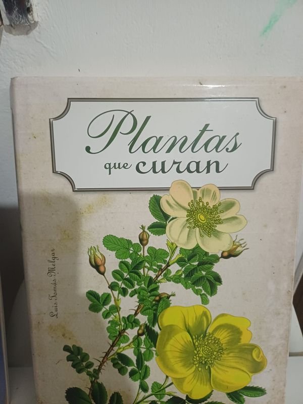 Item 894106 - Image 3