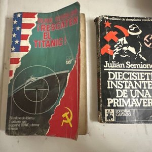 Lote anterior: Libros: Rescaten el Titanic (Clive Cussler) y Diecisiete Instantes de una Primavera (Julián Semionov)