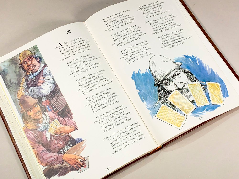Libro sobre Martín Fierro de José Hernández - imagen 5