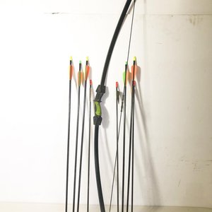 Arco y Flechas Barnett con Ocho Unidades - imagen 1