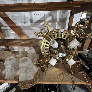 Ventilador de Techo con 4 Portalámparas y Tulipanes Decorativos - imagen 4