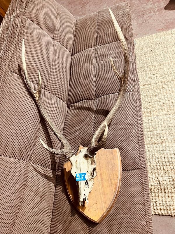 Item 846891 - Image 3