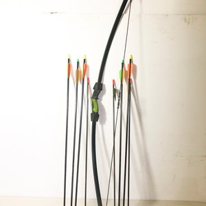 Arco y Flechas Barnett con Ocho Unidades - imagen 2