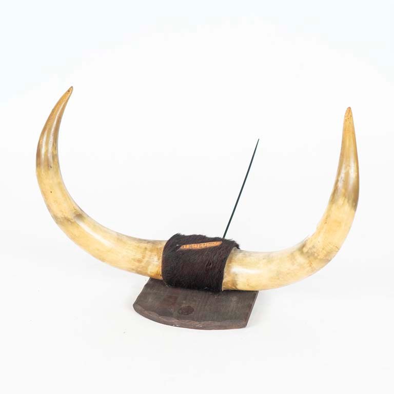 Item 2098256 - Image 0