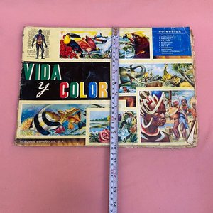 Álbum de Figuritas "Vida y Color" de Álbumes Españoles S.A. - imagen 6