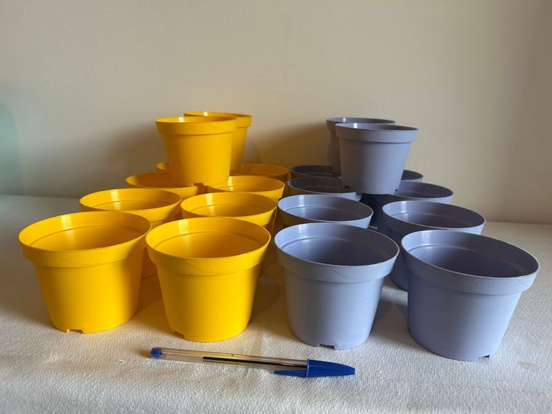 Item 893420 - Image 2