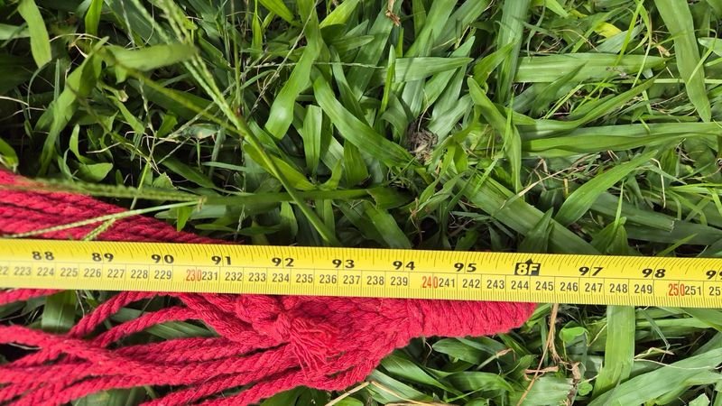 Item 844724 - Image 7