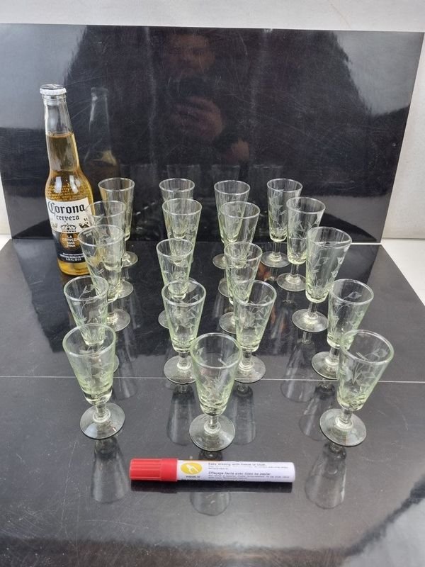 Set de 19 Copitas de Licor o Chupitos de Vidrio Soplado con Decoración Vegetal Esmerilada
